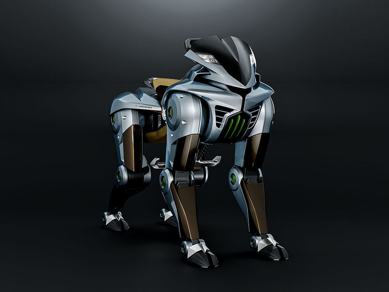 corleo1.jpg