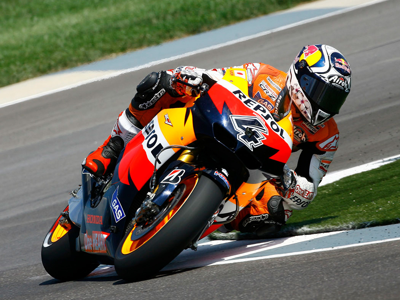 dovi23c.jpg