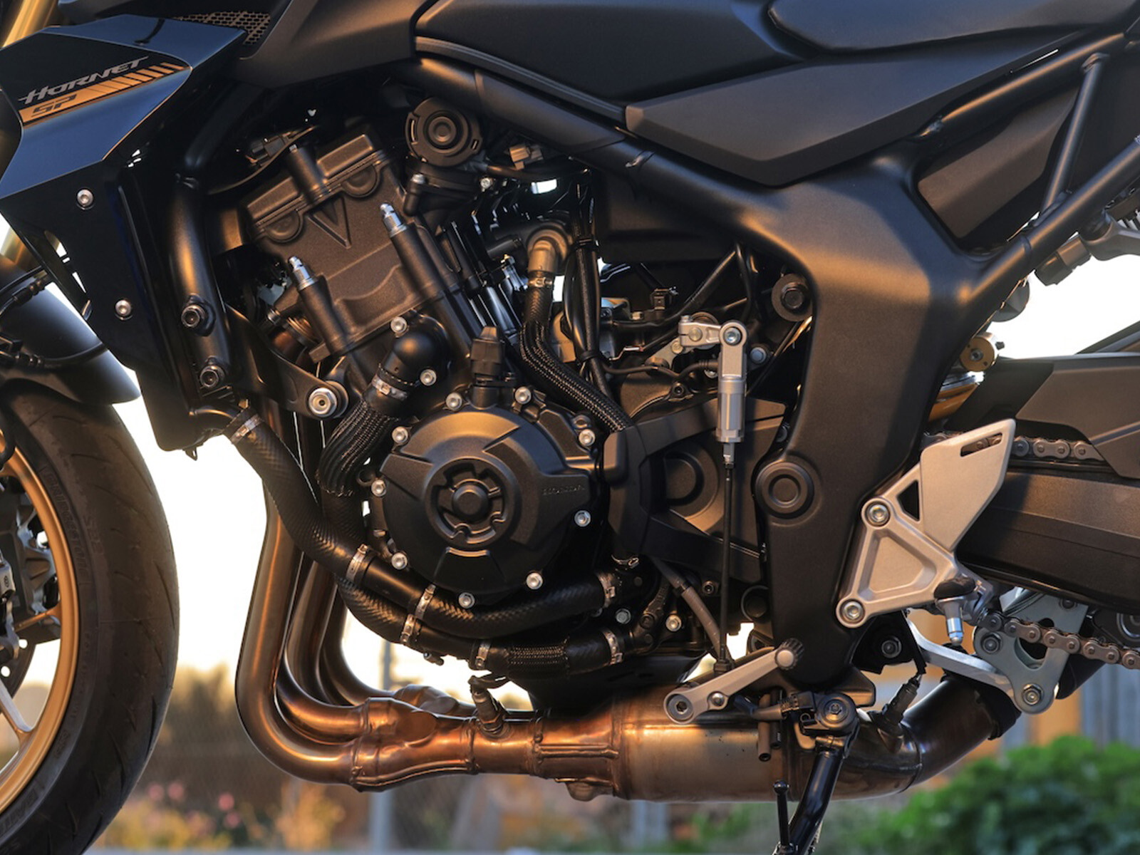 hornet1000sp2.jpg