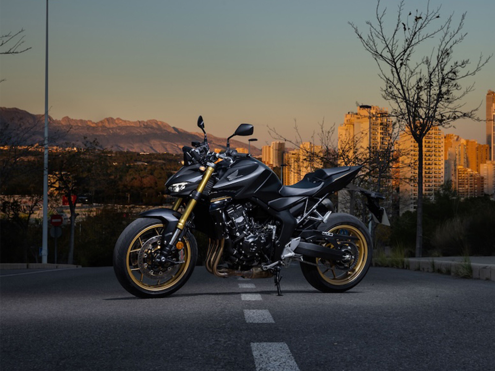hornet1000sp4.jpg