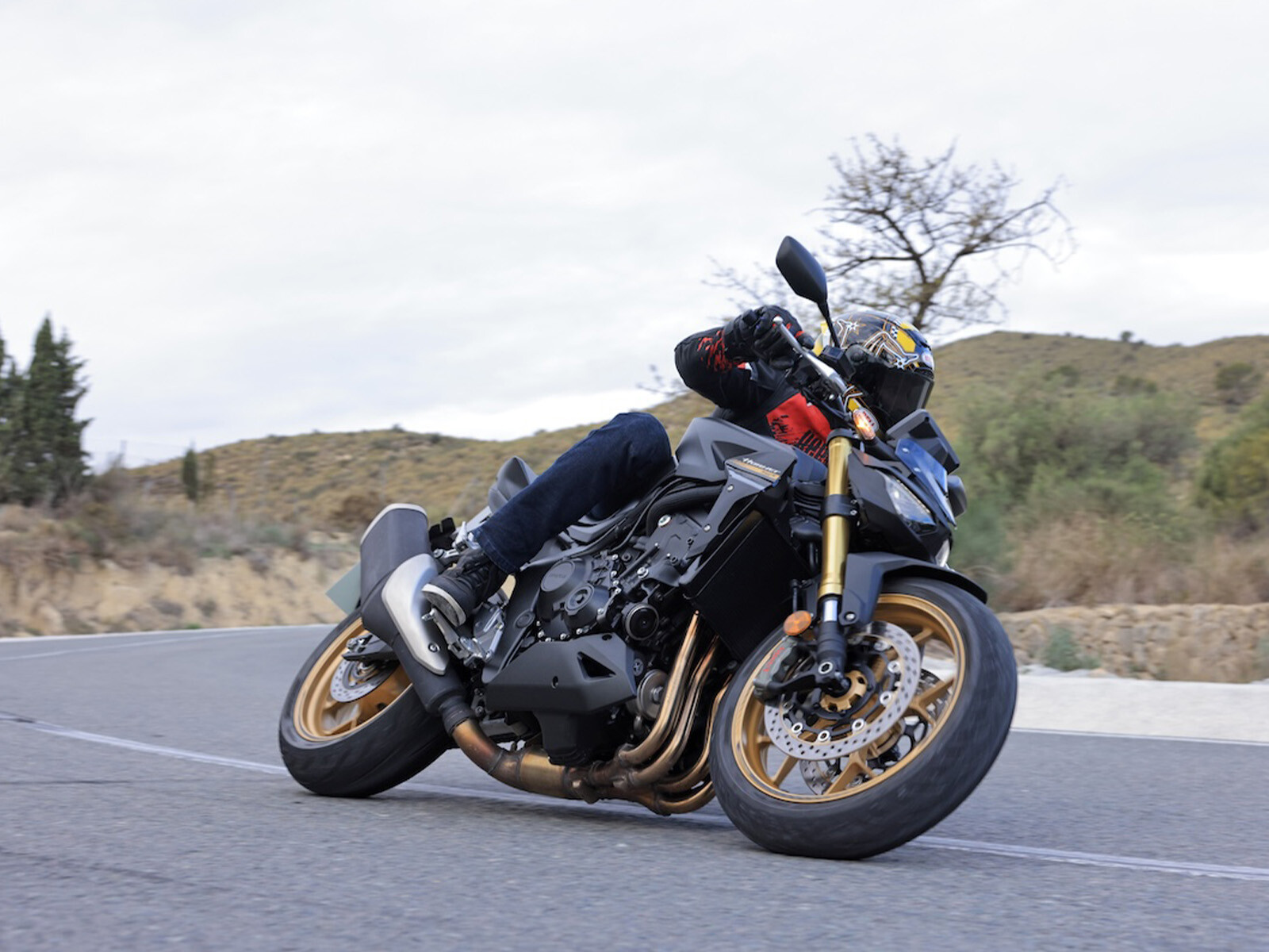 hornet1000sp5.jpg