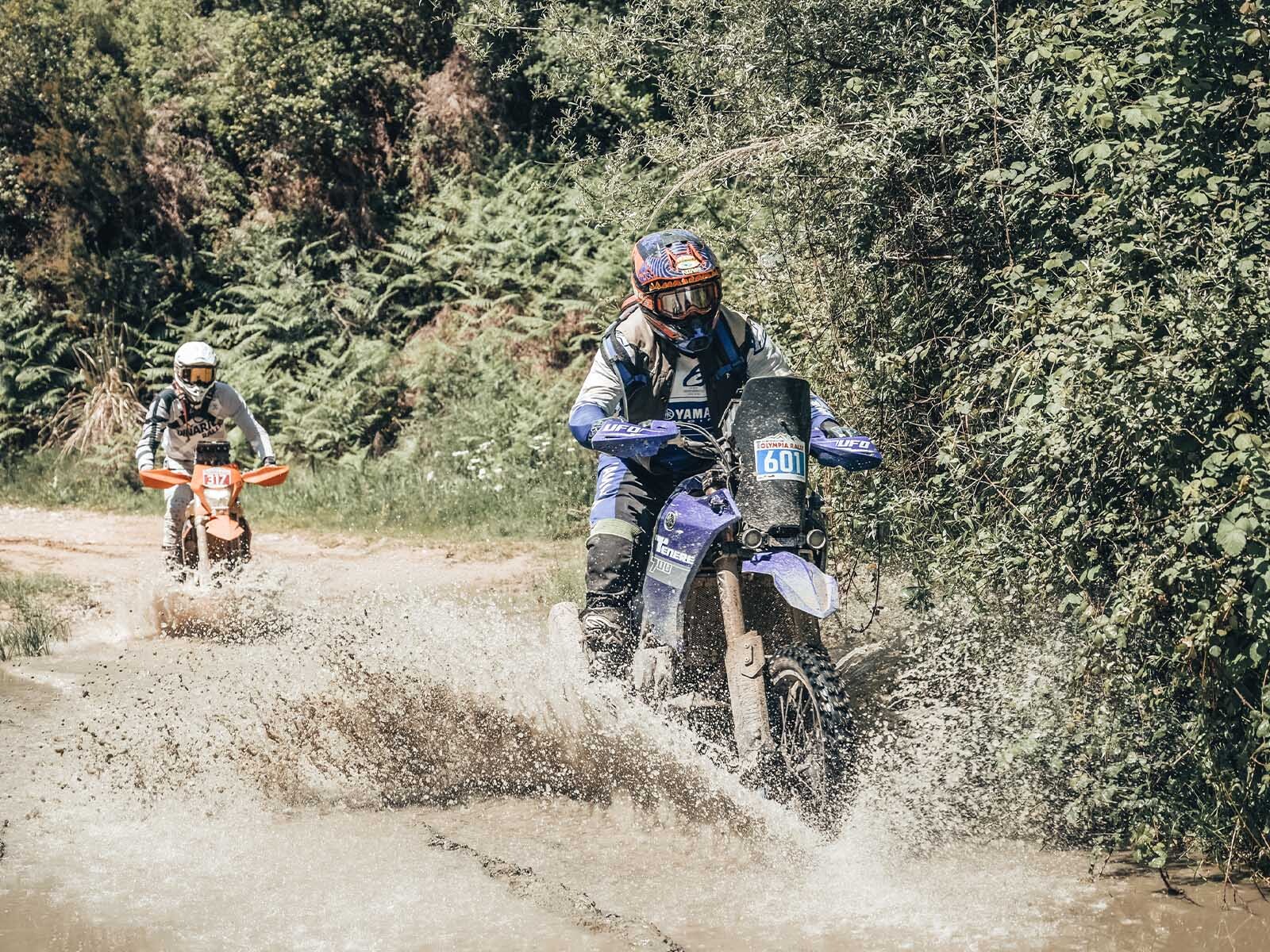 olrallyyam3.jpg