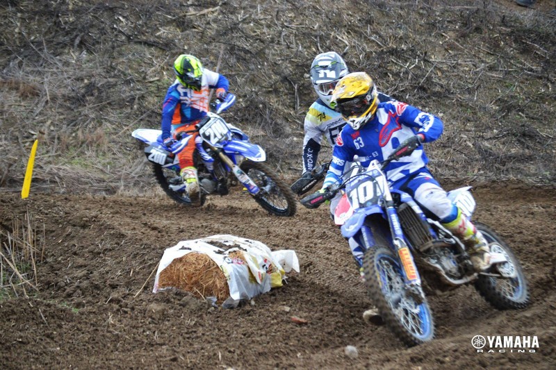mx2