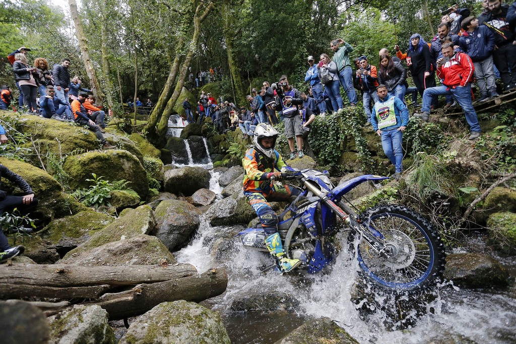 wess 2019 programi 2
