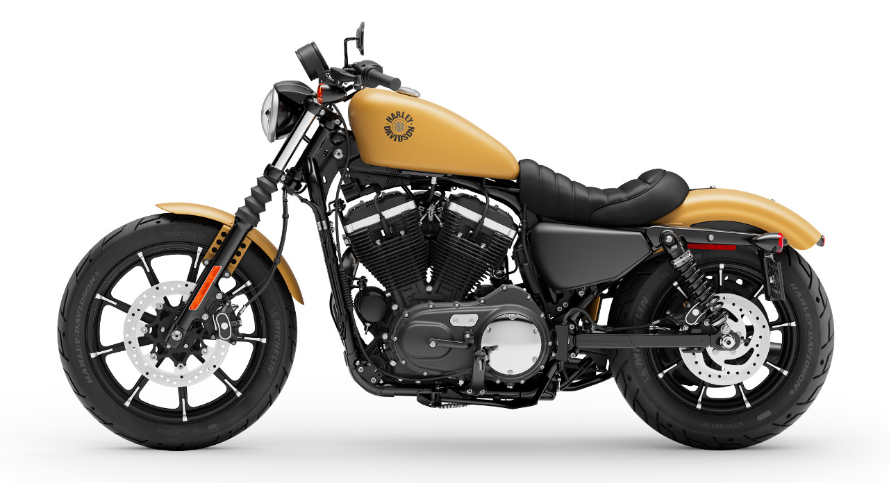 hd iron 883 test ride 2