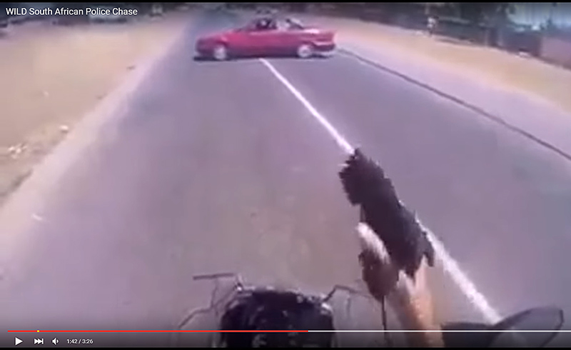 Αναβάτης της αστυνομίας πυροβολεί αυτοκίνητο εν κινήσει - Video