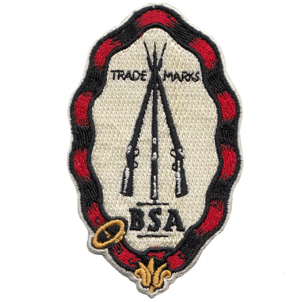 bsa 10