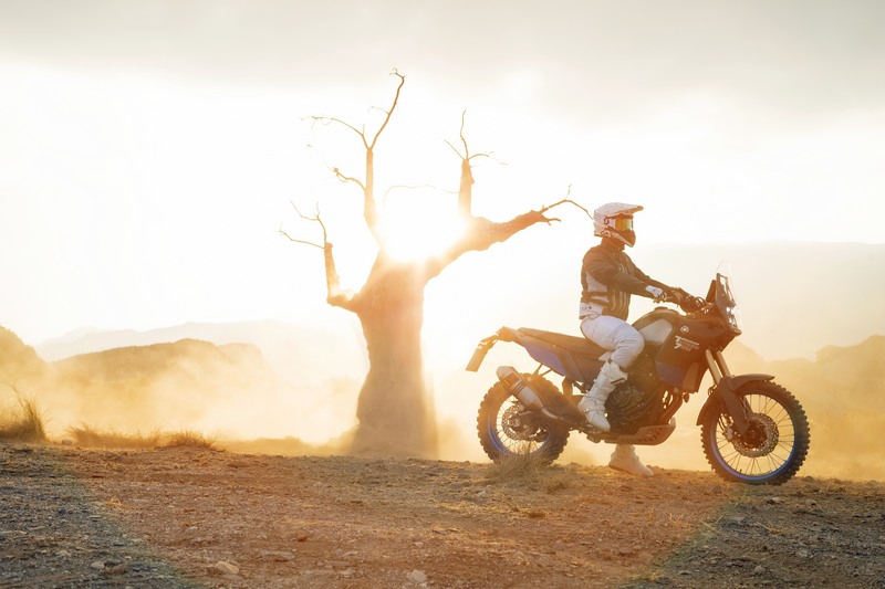 yamaha tenere 700 world raid 6