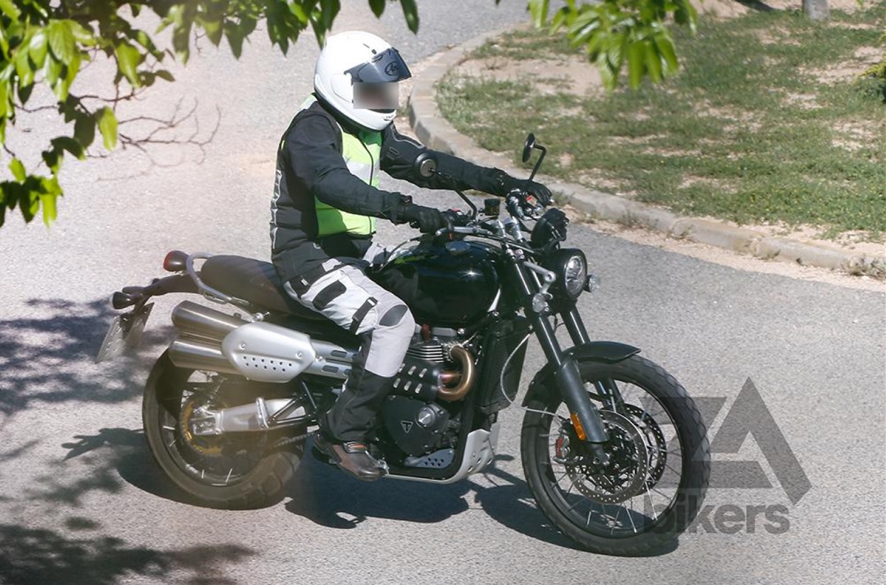 triumph1