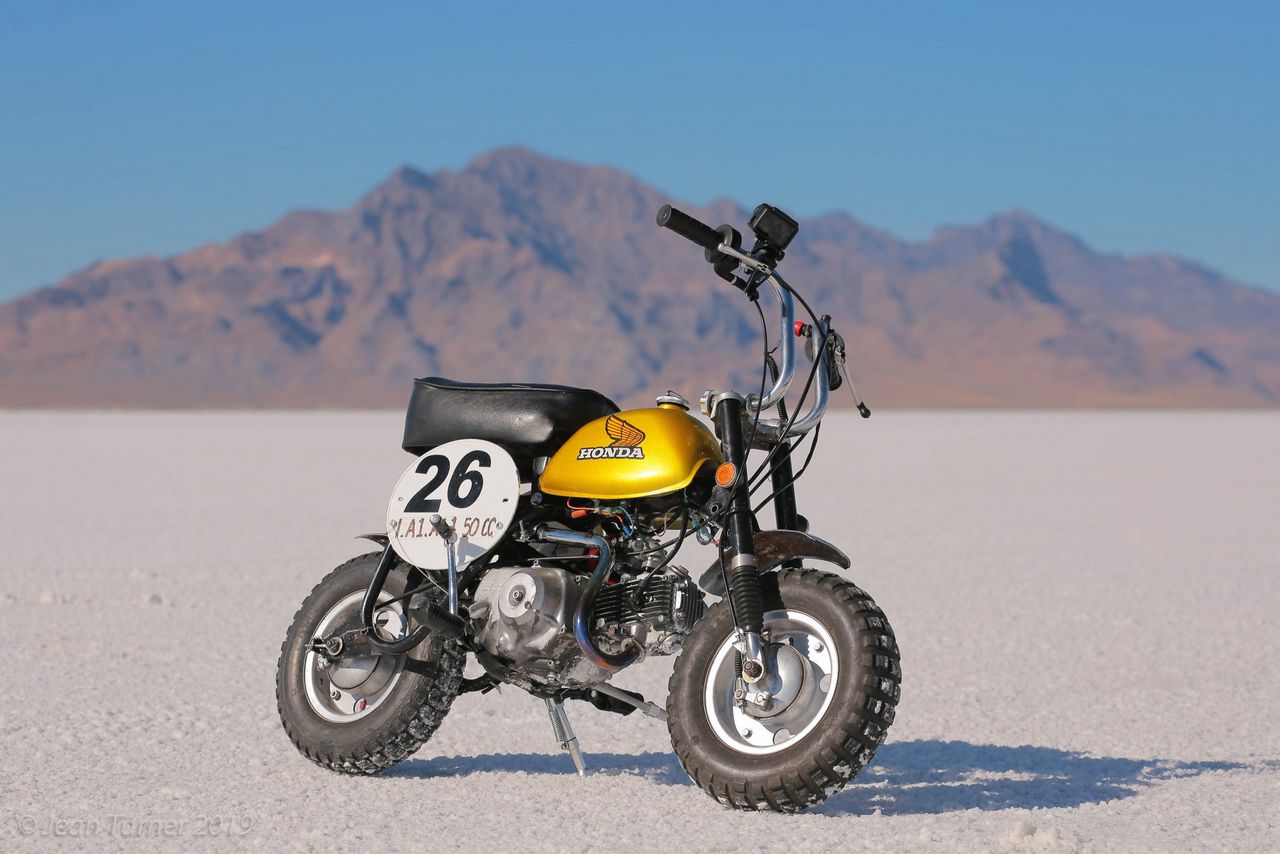 keller monkey50