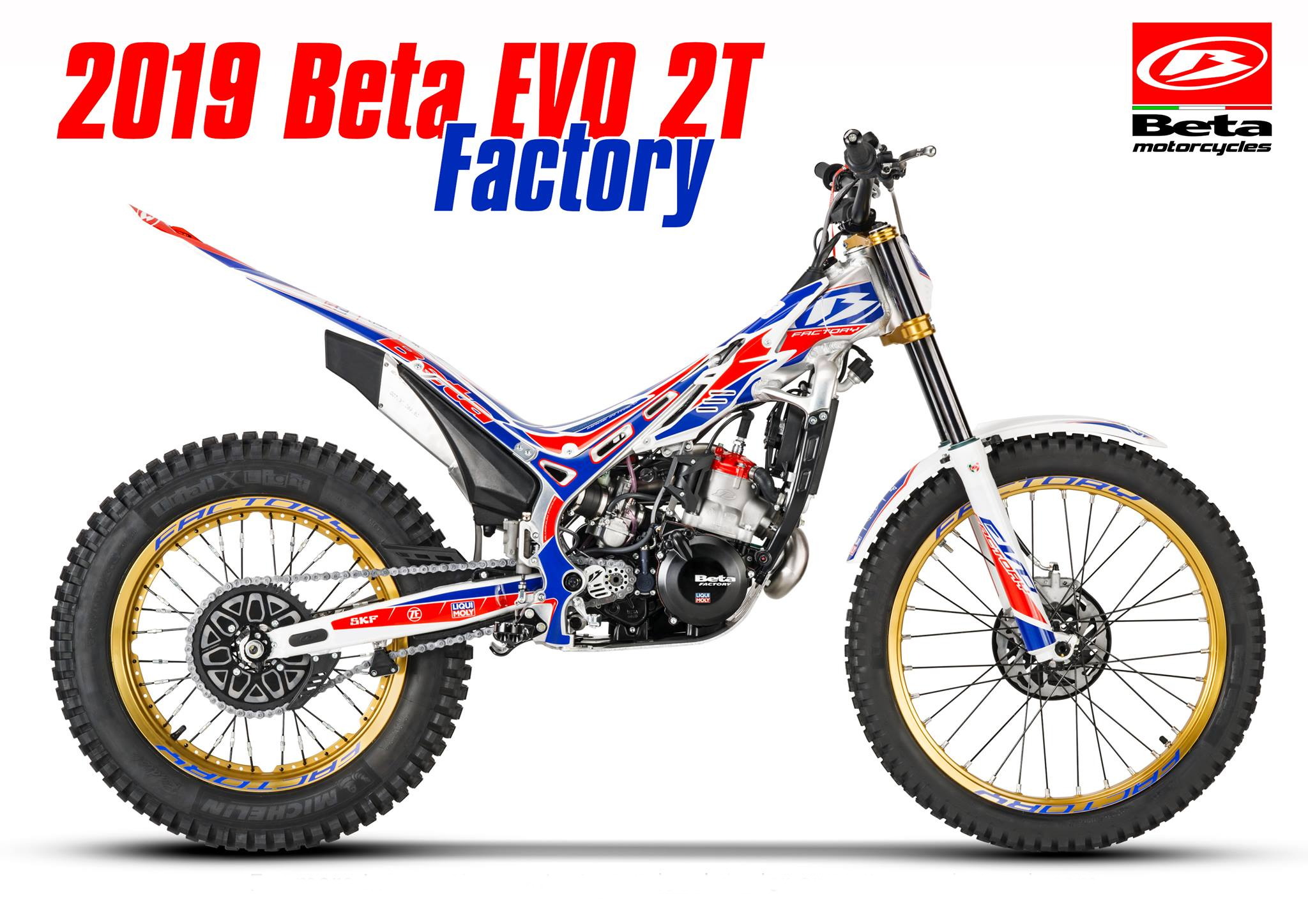 BETA EVO Factory 2019