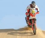 BETA RR 450 Rally