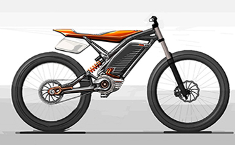 light ebike