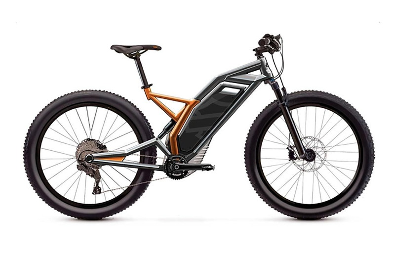 pedal assisted e bike