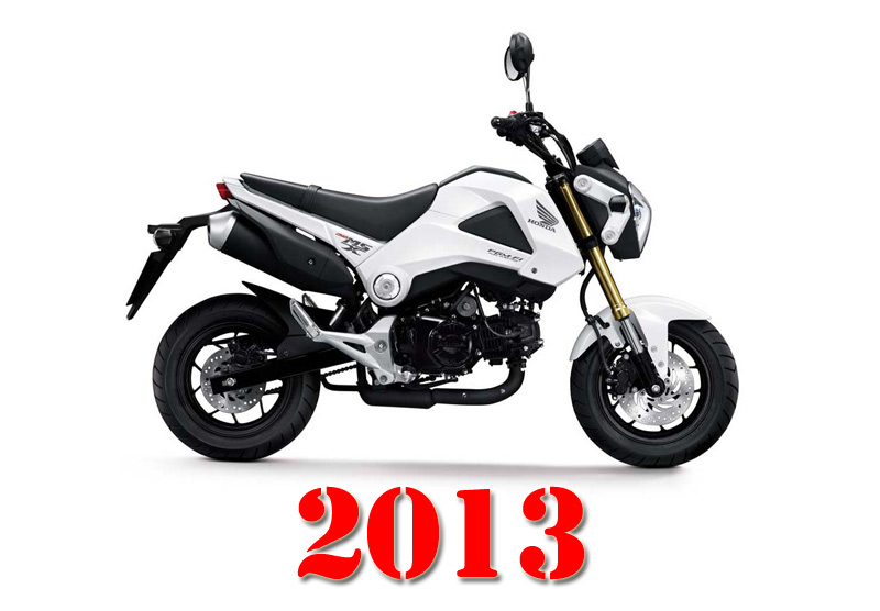 2013msx