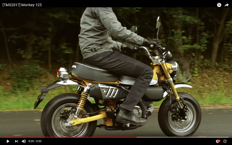 Honda Monkey 125 - Video
