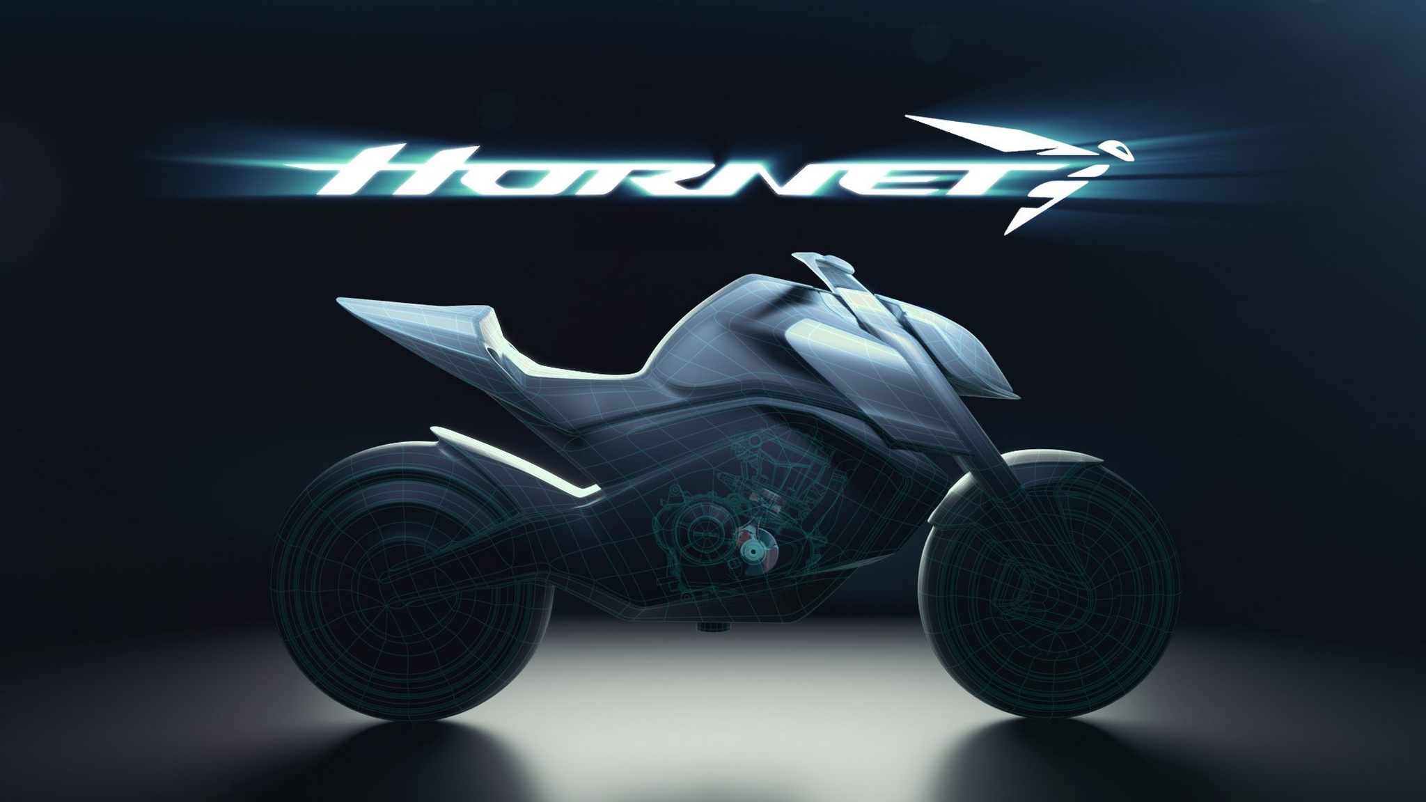 357797 The Hornet