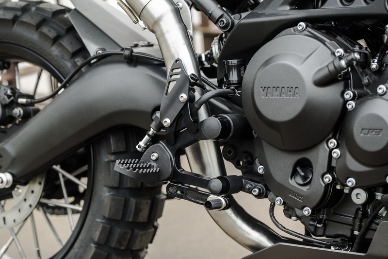 xsr900 monkeebeast 8