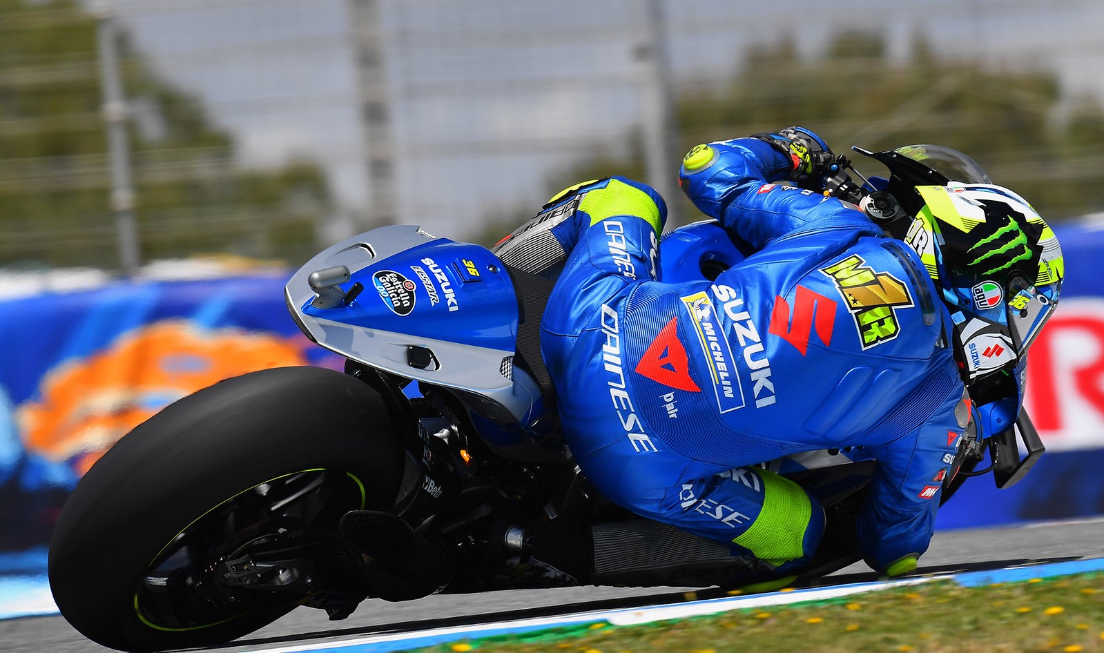 suzuki_4.jpg