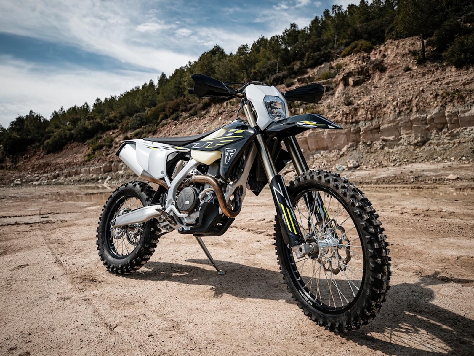 tfe3.jpg