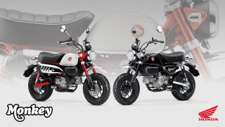 Honda Monkey 125 2025 - Euro 5+ και τρία νέα χρώματα