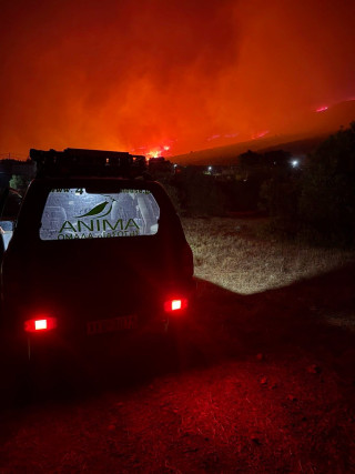 Όμιλος Επιχειρήσεων Σαρακάκη - Υποστηρίζει το έργο του συλλόγου ΑΝΙΜΑ