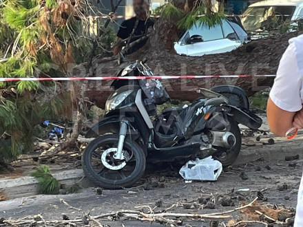 Κρήτη – Δικυκλιστής σκοτώθηκε από πτώση δέντρου