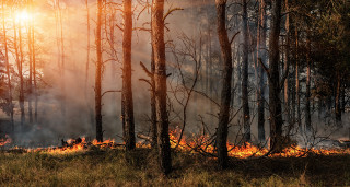 Λέσχη Μοτοσυκλέτας Μεγάρων – Ανακοίνωση για τη φωτιά στα Γεράνεια