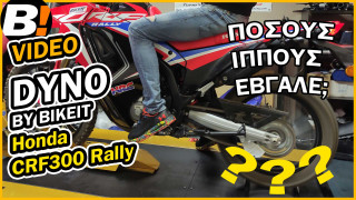 Dyno Test - Honda CRF 300 Rally 2022