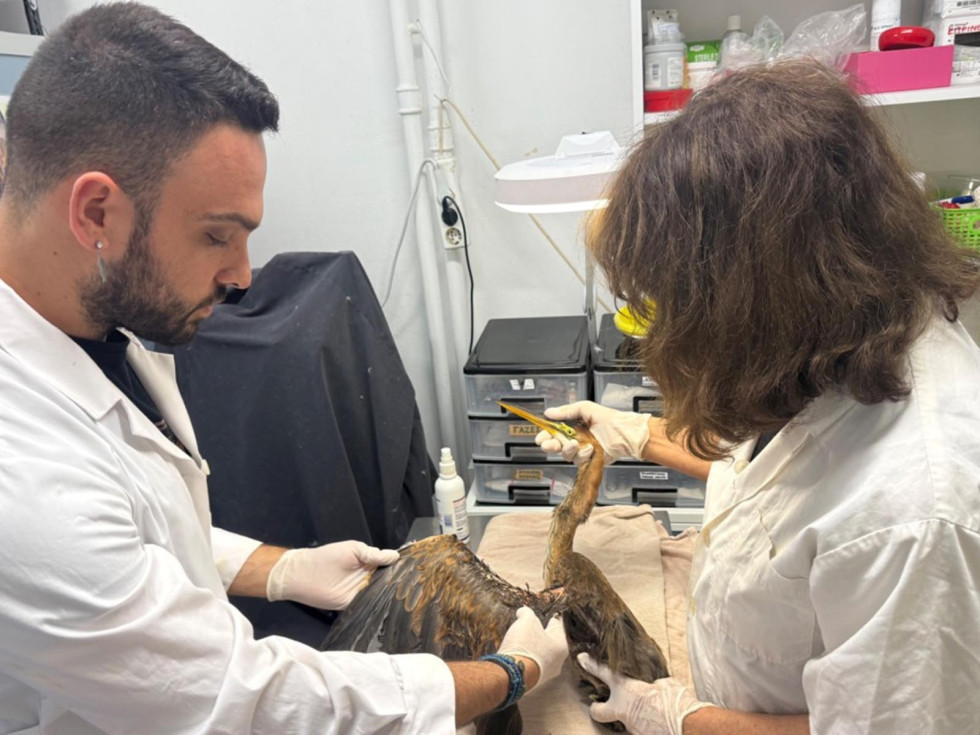 Όμιλος Επιχειρήσεων Σαρακάκη - Σταθερός υποστηρικτής της ΑΝΙΜΑ για τη διάσωση άγριων ζώων από τις πυρκαγιές