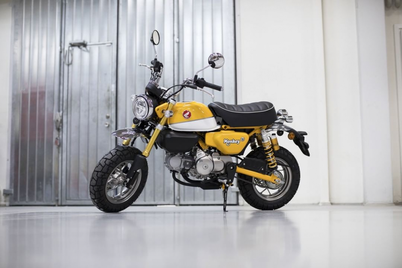 Honda Monkey девушка