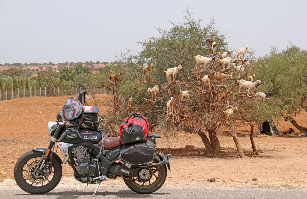 Daytona Dakar – Στον Μαροκινό νότο – Μέρος 4ο