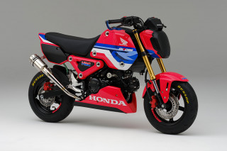Honda MSX125 Grom HRC – Για αγωνιστική χρήση!